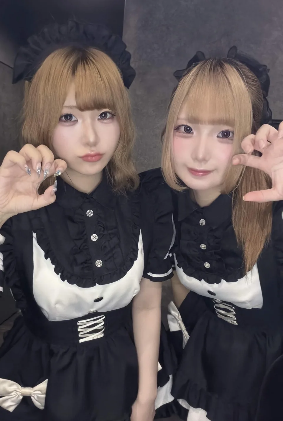 Lily Maidの過去の公式集合写真（2026年7月23日の投稿）